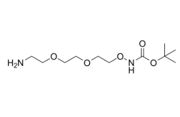 	t-Boc-Aminooxy-PEG2-amine 