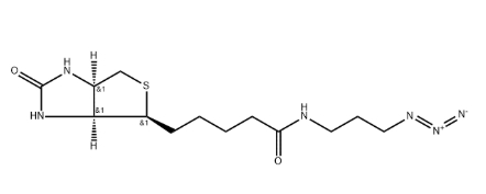 生物素-叠氮化物