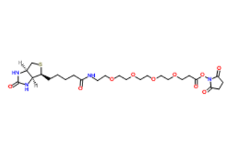 Biotin-PEG4-NHS ester 