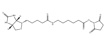 生物素-X,琥珀酰亚胺酯
