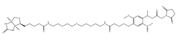 Biotin-PEG3-NHS carbonate ester，CAS号2353409-93-3，生物素-PEG3-NHS酯.png