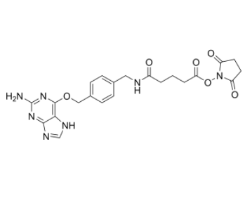 2-Aminopurine-O-Ph-NHCO-C3-NHS ester 