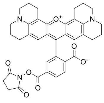 6-羧基-X-罗丹明琥珀酰亚胺酯	 