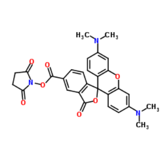 NHS-5(6)Carboxyrhodamine  