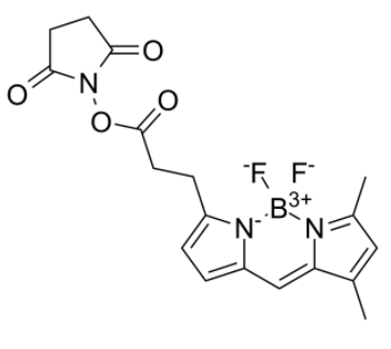 BDP FL NHS Ester 