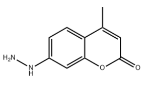 Coumarin hydrazine