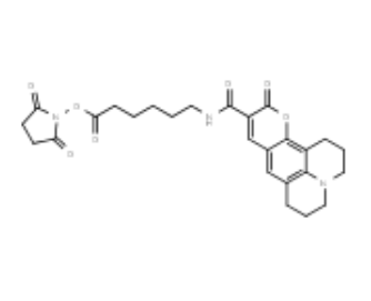 Coumarin-343 X NHS ester 