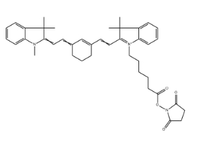 CY7 NHS活化脂