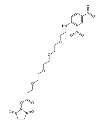 DNP-PEG4-NHS ester