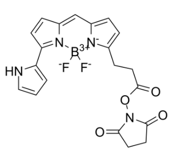 Py-BODIPY-NHS ester 