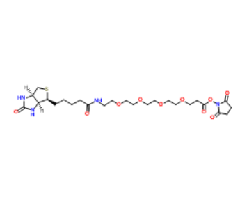 Biotin-PEG4-NHS ester 