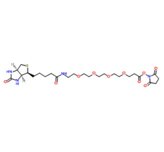 Biotin-PEG4-NHS ester 