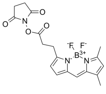 BDP FL NHS Ester 