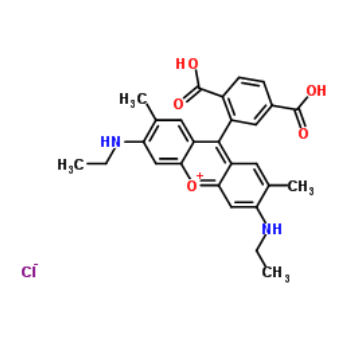 6-Rhodamine 6G COOH  