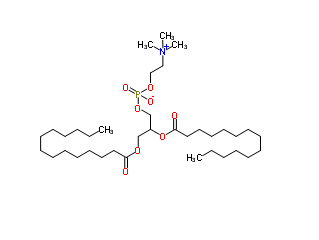 DMPC；二肉豆蔻酰磷脂酰胆碱