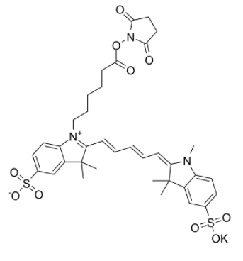	磺基花青5 NHS酯	 