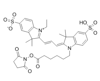 	Cyanine 3, SE 