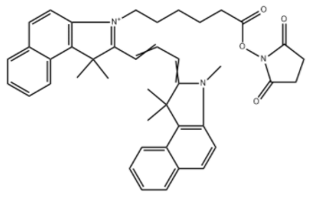 	Cy3.5 NHS ester 