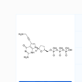 Aminopropargyl ddGTP