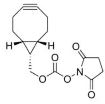 BCN NHS ester 