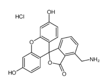 4’-胺甲基荧光素盐酸盐	 