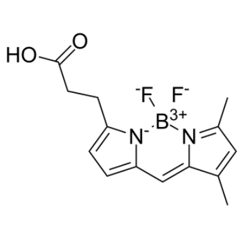	3-Bodipy-propanoic Acid 
