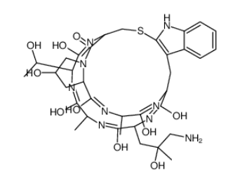 ((R)-4-Hydroxy-4-methyl-Orn⁷)-Phalloidin 