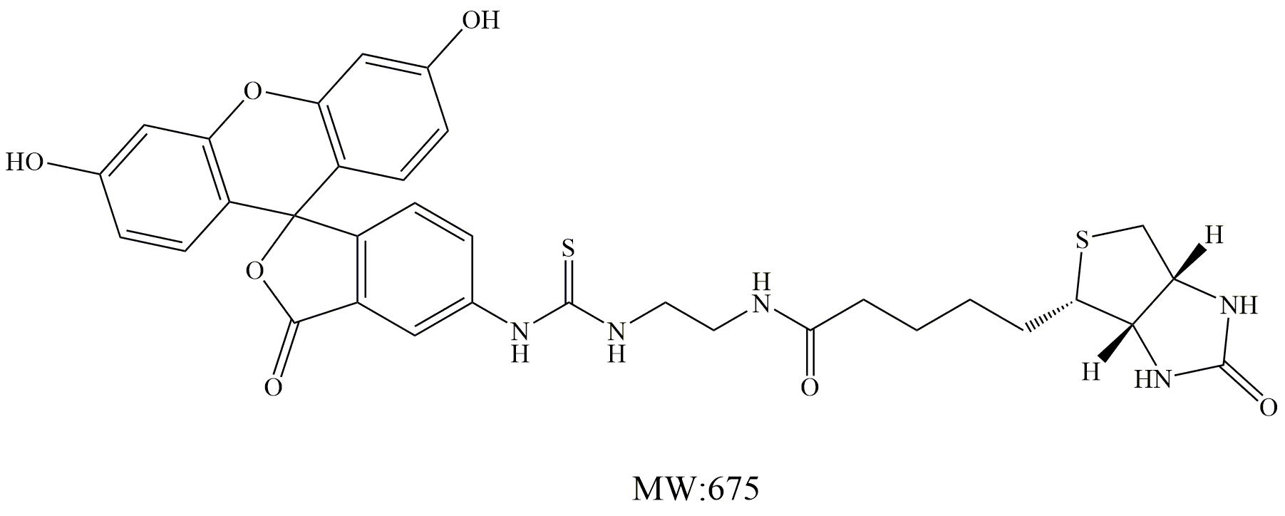 荧光素标记的生物素，FITC-Biotin