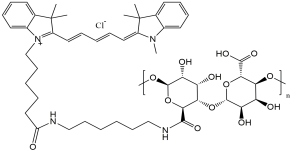 CY5-Alginate