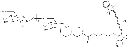 CY7-Dextran