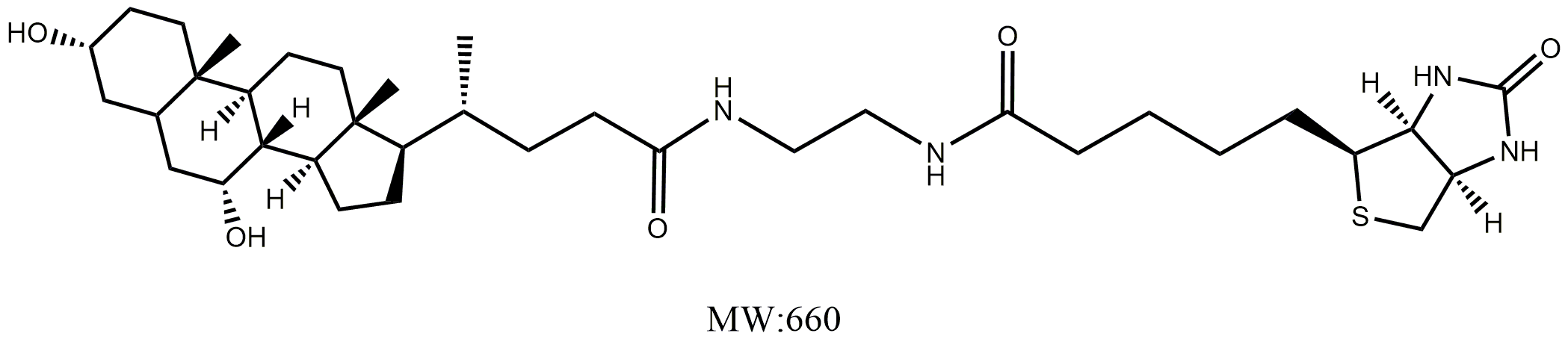 Biotin-CDCA