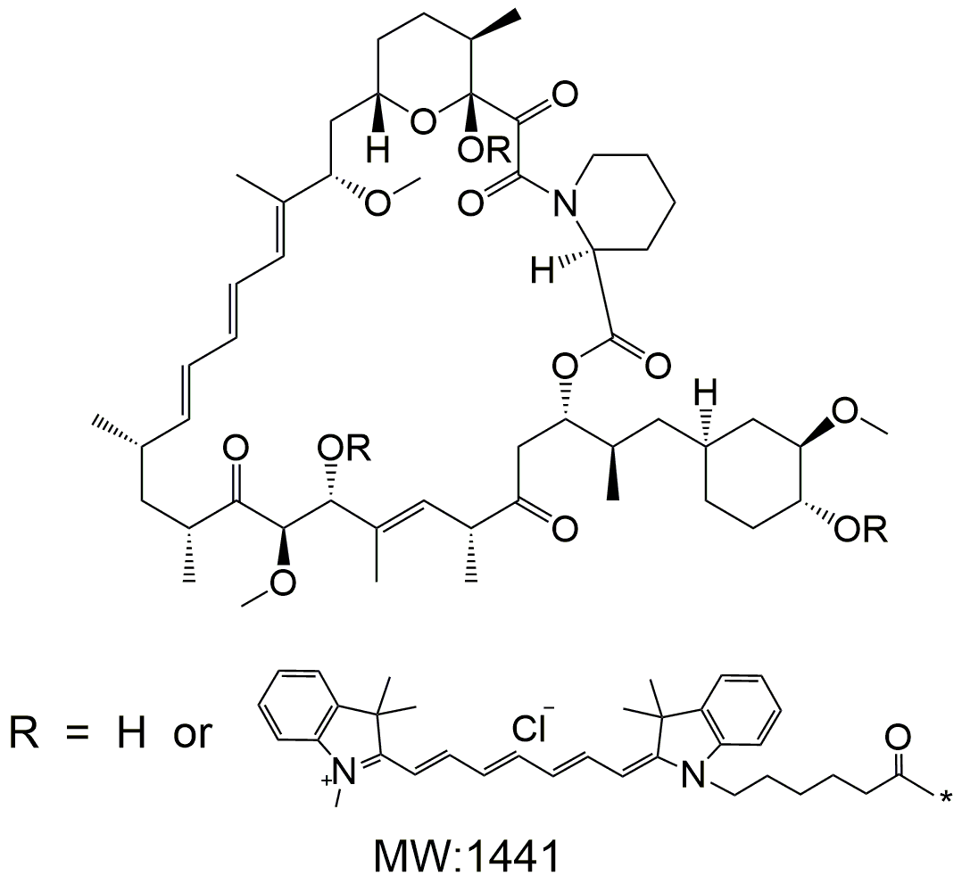 Cy7-Rapamycin，Cy7-雷帕霉素