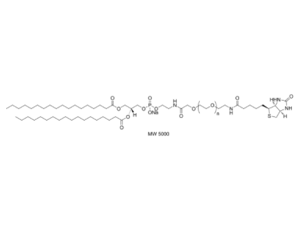 DSPE-PEG-Biotin (MW 1000) 