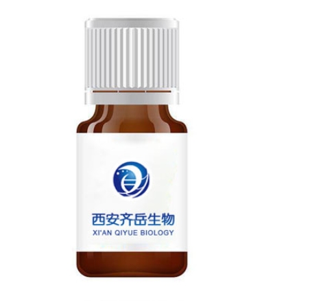 FITC Alkyne 