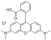 Tetramethylrhodamine