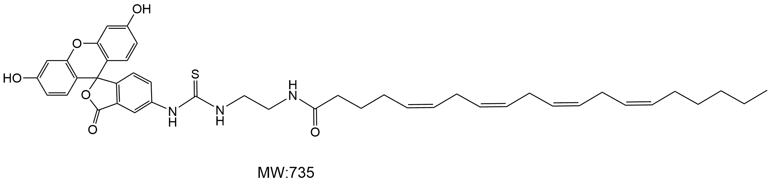 FITC-arachidonic acid，FITC-花生四烯酸