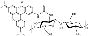 TRITC-Chitosan