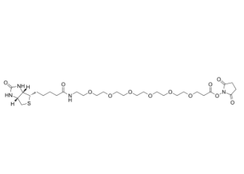 Biotin-PEG6-NHS ester 