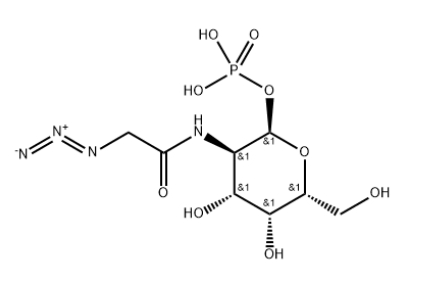 GalNAz-1-P