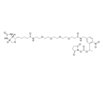 PC-Biotin-PEG4-NHS carbonate 