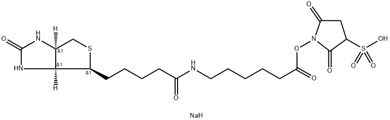 Sulfo-Nhs-LC-Biotin