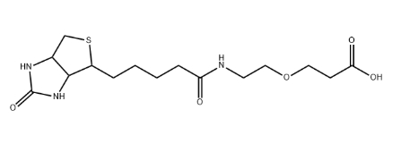 生物素-聚乙二醇-羧基