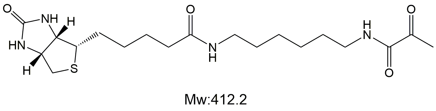 Biotin-Pyruvate，生物素标记丙酮酸