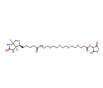 Biotin-PEG4-NHS ester 
