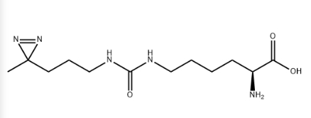 DIZPK