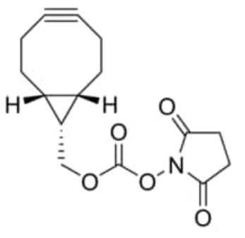 BCN NHS ester 