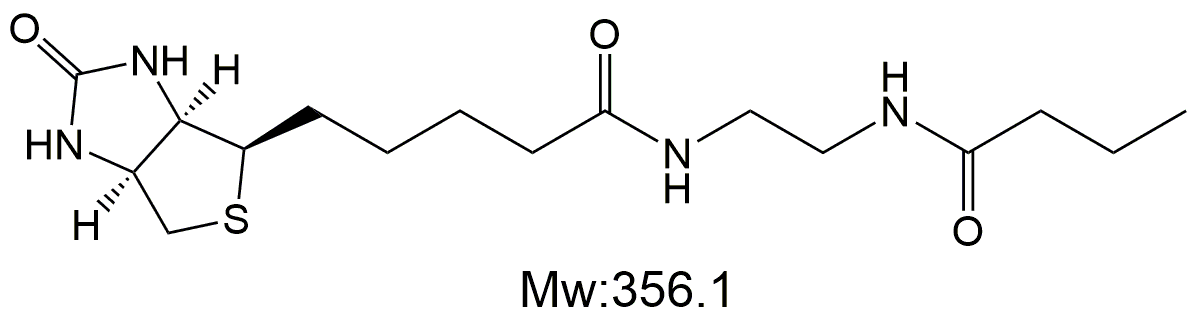 Biotin-Butyrate，生物素标记丁酸