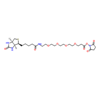 Biotin-PEG4-NHS ester 
