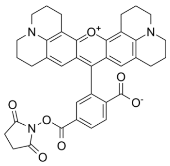 6-Rhodamine X NHS ester  