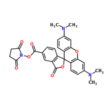 NHS-5(6)Carboxyrhodamine 